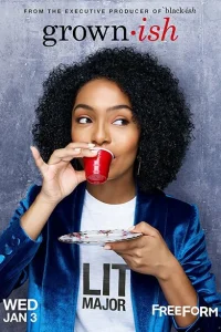 Смотреть сериал Повзрослевшие 1-4 сезон 2018